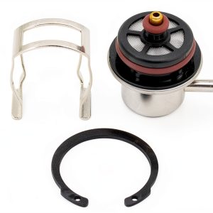ApplianPar Fuel Pressure Regulator 17113203 Stainless Steel Dual Port-0
