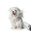 Pet Neck Dryer JirPet Professional Dog Dryer Hands-Free H1 White-5