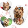 Qearl 48 Pcs Colored Ball Bows for Dogs & Cats - Velvet Hair Ties-4