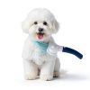 Professional Pet Grooming Dryer POPET 3-in-1 Dog Dryer Quiet Brush-1