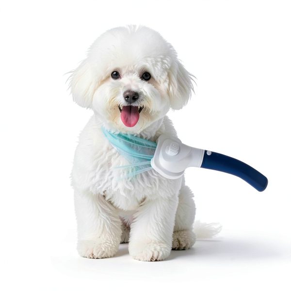 Professional Pet Grooming Dryer POPET 3-in-1 Dog Dryer Quiet Brush-1