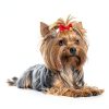 100PCS Cute Puppy Dog Small Bowknot Hair Bows,Yorkie Doggie Bows with Rubber Band Pet Grooming Bows Dog Hair Costume Accessories for Small Dog-7