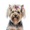 Chenkou Craft Puppy Yorkie Hair Bow 40pcs Pure Ribbon with Rubber Band-4