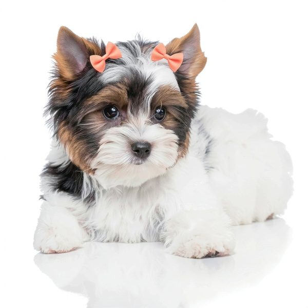 Dog Bow Soft Hair Bowknot 100pcs 50 Pairs Mix Solid 60 Colors Senniea-7