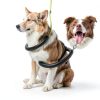 Foldable Dog Grooming Arm with Clamp: Adjustable Height 26"-40", Dog Grooming Table Arm with Hammock and No-Sit Holder, Grooming Restraint for Small Medium Dogs at Home or Salon-6