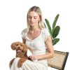 2-in-1 Dog Hair Dryer with Slicker Brush for Small-Sized Dogs and Cats | Pet Hair Dryer | Dog Blow Dryer | 300 Watts, 75-85 dB, Adjustable Temperature, Overheat Protection-4