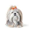 100PCS Cute Puppy Dog Small Bowknot Hair Bows,Yorkie Doggie Bows with Rubber Band Pet Grooming Bows Dog Hair Costume Accessories for Small Dog-6