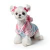 Dog Hair Bows JUCCPUL Accessories 40PCS Cute Ribbon with Rubber Bands-4