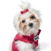 Chenkou Craft Puppy Yorkie Hair Bow 40pcs Pure Ribbon with Rubber Band-5